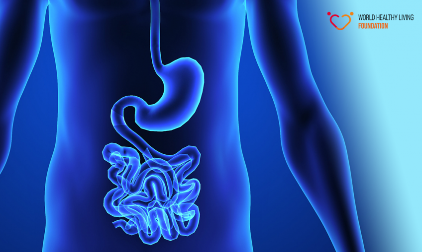 Cum să abordăm sănătatea sistemului digestiv și de ce nu funcționează orice protocol de sănătate intestinală?