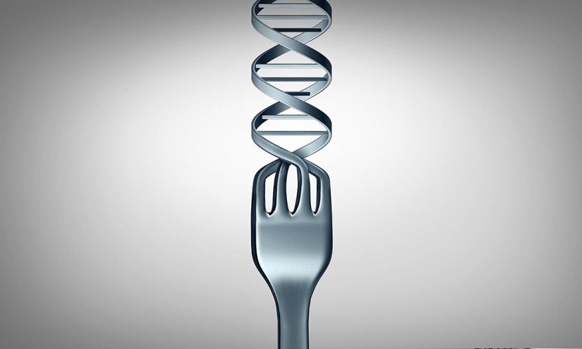 Чи впливає харчування на вашу ДНК?